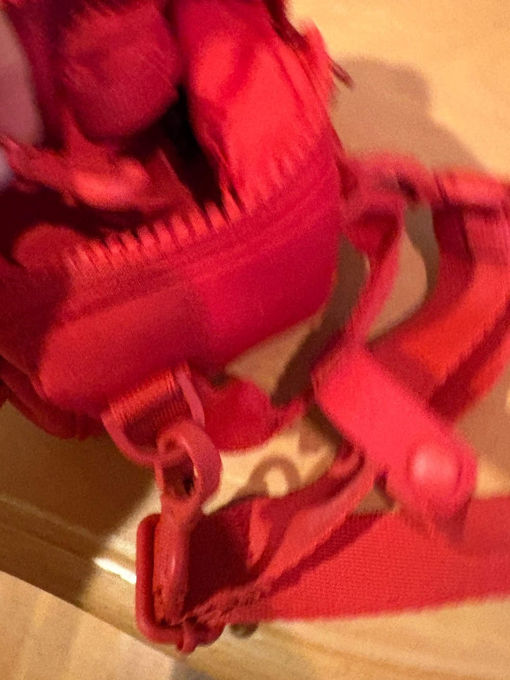 Dagne Dover Red Mini Crossbody Camera Bag - Picture 10 of 12